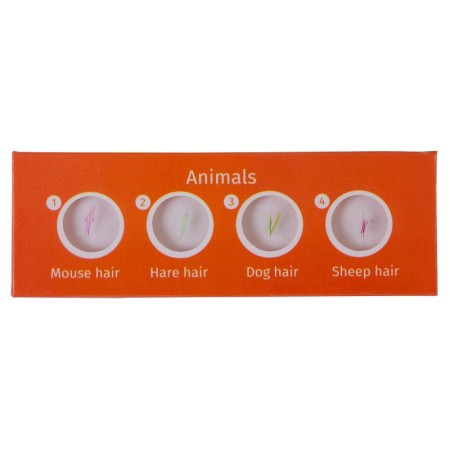 Juego de portaobjetos preparados levenhuk labzz c12 para animales