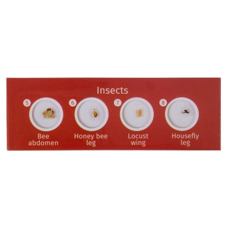 Levenhuk labzz cp24 set of prepared slides plants and animals