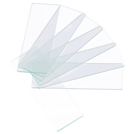 Levenhuk g50 1h single-cavity empty slides, 50 pcs.