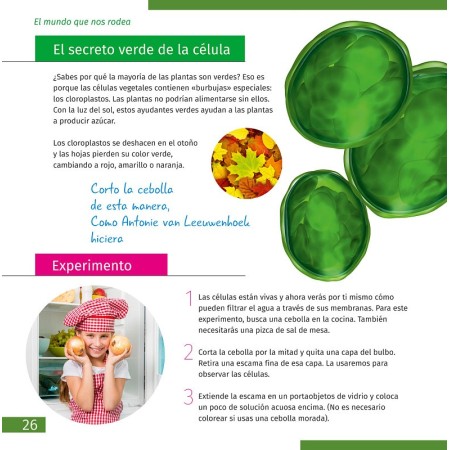 Microscopio levenhuk discovery micro con libro