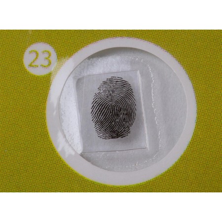 Levenhuk labzz p12 set di vetrini preparati piante