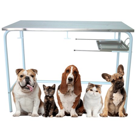 Tavolo visita veterinaria