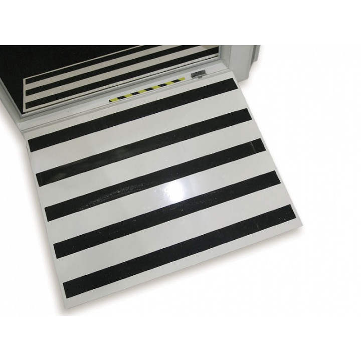 Cab Ramp Pro 45 – Paar
