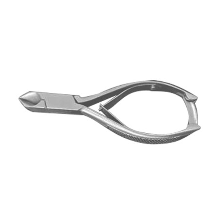 - pazurów u kotów i psów