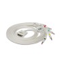 Cavo ecg veterinario 5 derivazioni - ricambio per 80650