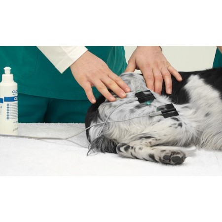 Stimvet 2000 Globus - Elektrostimulátor pro úlevu od bolesti a svalů pro veterinární medicínu