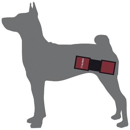 Állatorvosi mágnesterápia globus magnetovet 200