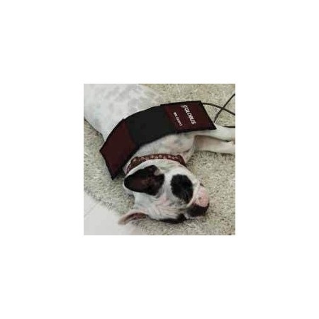 Veterinaire magnetotherapie Globus Magnetovet 4000