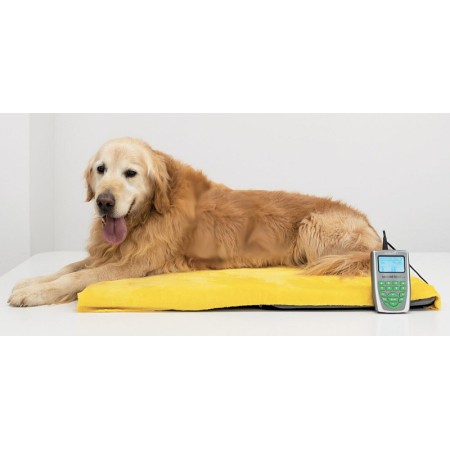 Globus Magnetovet 200 Veterinarska magnetoterapija s kavezom za pse