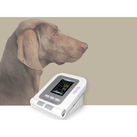 Monitor de presión arterial para animales