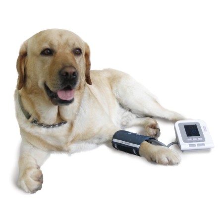 Misuratore di pressione per animali