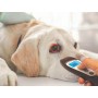 Visiofocus bluetooth remote veterinary thermometer