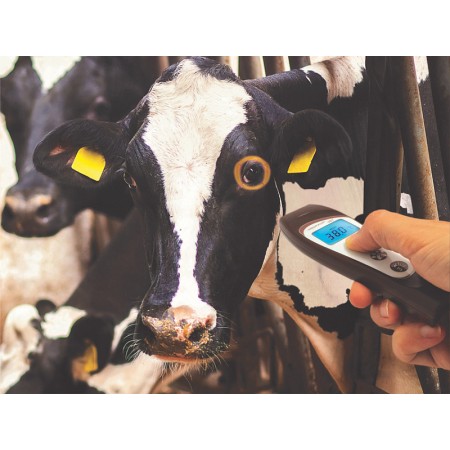 Visiofocus bluetooth remote veterinary thermometer
