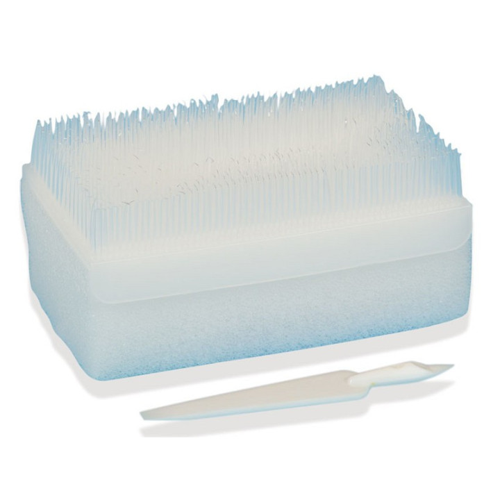 Chlorhexidine brush kit - pack in English - pack 30 pcs.