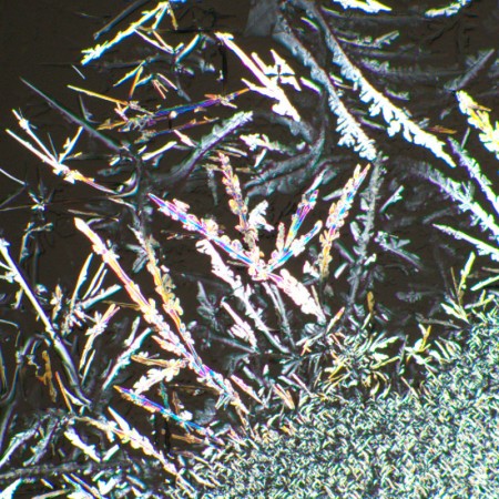 Zestaw polaryzatora/analizatora magus spd2