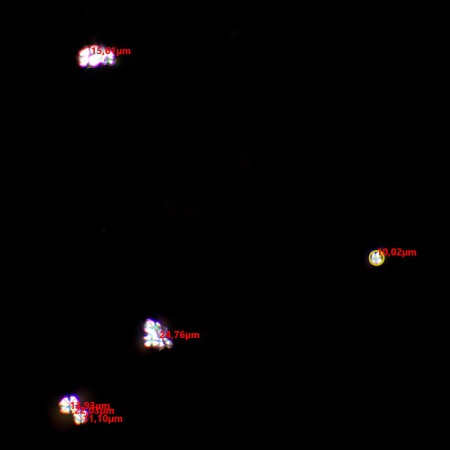 Zestaw polaryzatora/analizatora magus spd2