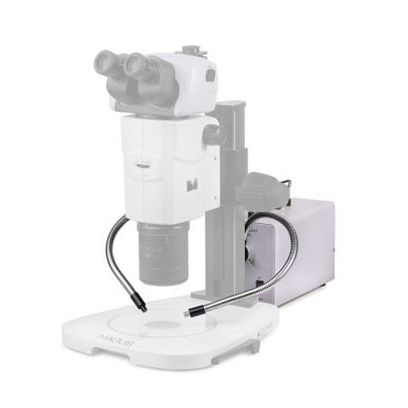 Luce fredda con doppia guida luminosa magus cli18t