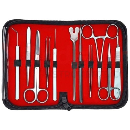 Kit dissezione in acciaio inox aisi 202 per esercitazione - 11 pezzi - 1 kit