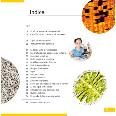 Microscopio levenhuk discovery centi 02 con libro