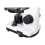 Microscopio levenhuk rainbow 2l plus