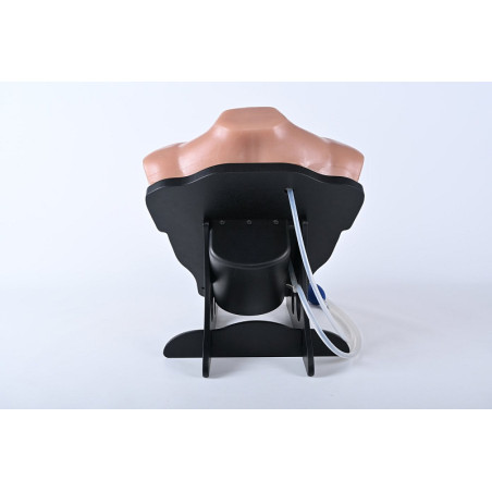 Simulatore medico ecografabile per addestramento alle tecniche di toracentesi e toracostomia sotto guida ecografica