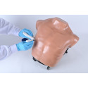 Simulatore medico ecografabile per addestramento alle tecniche di toracentesi e toracostomia sotto guida ecografica