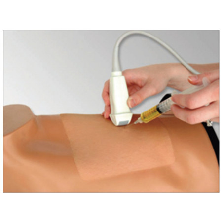 Simulatore ecografabile per addestramento alle tecniche di toracentesi e toracostomia sotto guida ecografica