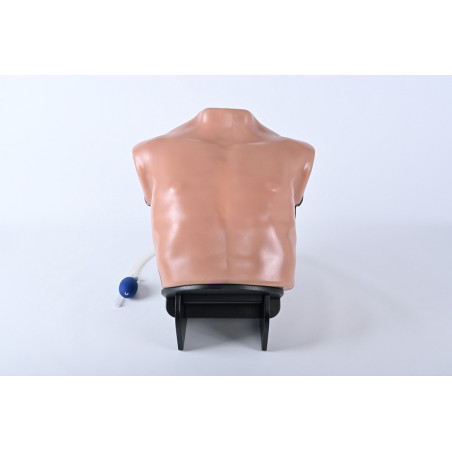 Simulatore ecografabile per addestramento alle tecniche di toracentesi e toracostomia sotto guida ecografica