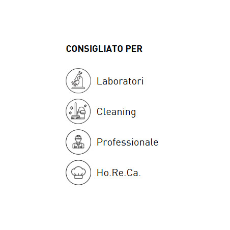 Guanti in vinile derma vinil senza polvere - 100 pz.