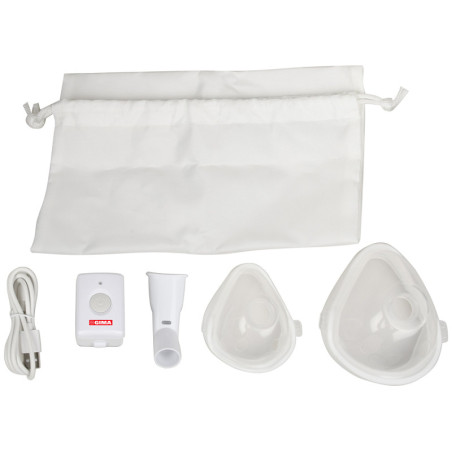 Wearable mesh aerosol