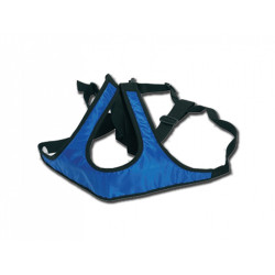Cinturón de correa para alcêtre/carritos