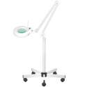 S5 LED-förstoringslampa + stativ