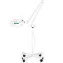 S4 LED-forstørrelseslampe + stativ