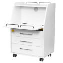 White 601 Assistente de Podologia