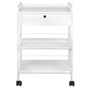 Cosmetic table type 1019A GIOVANNI