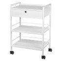 Cosmetic table type 1019A GIOVANNI