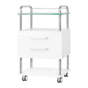 White 6052 asistent podiatra