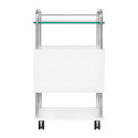 White 6052 asistent podiatra