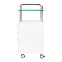 Asistent podiatru White 6053