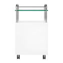 Asistent podiatru White 6053