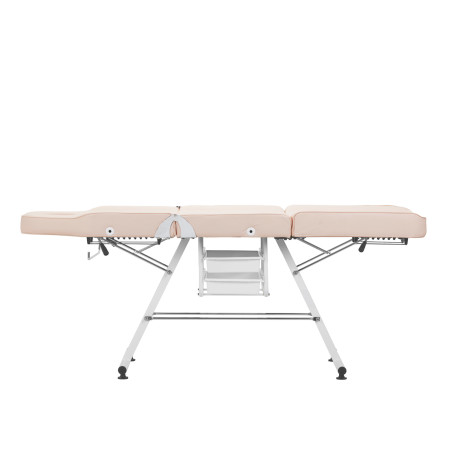Poltrona cosmetica Basic 202 con vassoi rosa