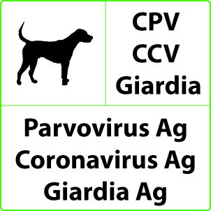 Veterinário