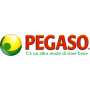 Pegaso